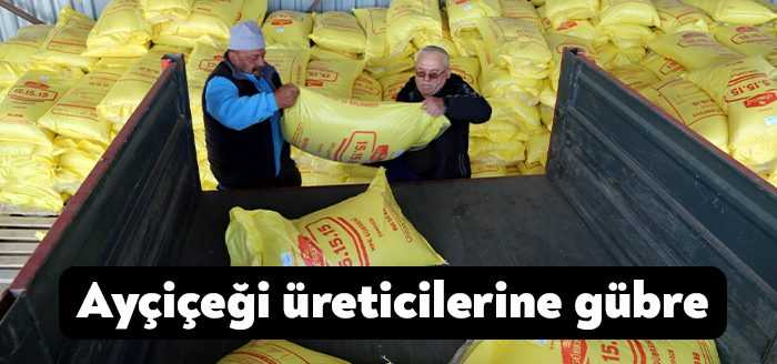 Büyükşehir Belediyesi, yağlık ayçiçeği yetiştiriciliği yapan il genelindeki 500 üreticiye