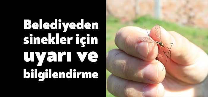 Büyükşehir çayır sineğine karşı vatandaşı bilgilendirdi. Çayır sinekleri, sivri sineklerine