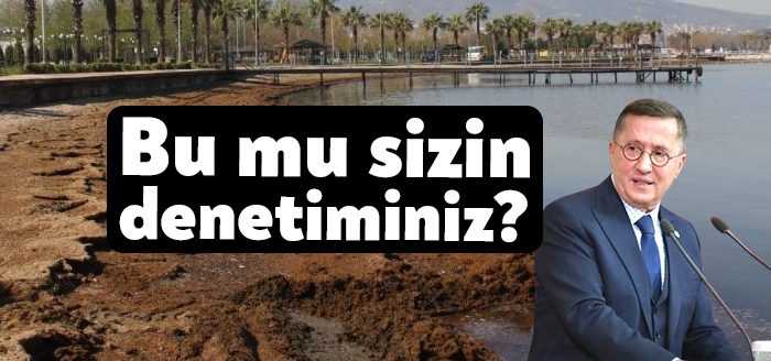 İYİ Parti Kocaeli Milletvekili Lütfü Türkkan, Gölcük Beyoğlu deresinin hayvansal