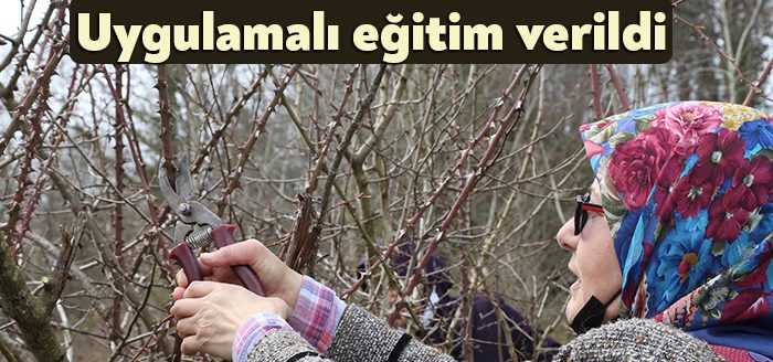 KO-MEK’te Meyve Ağaçlarında Aşılama ve Budama kursuna katılan kursiyerleri, güneşli