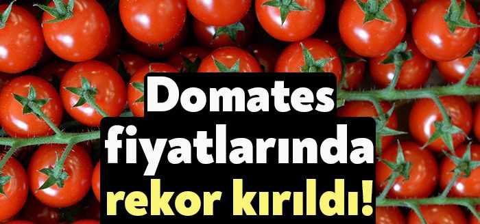 Fiyat endekslerinde domates, geçen yılın Mart ayına göre yıllık yüzde