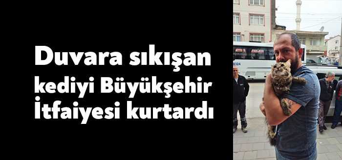 Gebze’de tabela ile duvar arasına sıkışan kedi, Büyükşehir itfaiyesinin hızlı