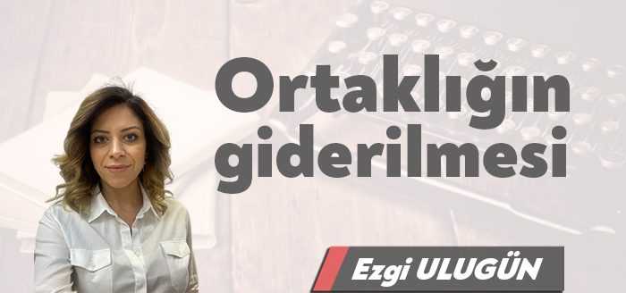 İzale-i Şuyu veya ortaklığın giderilmesi davası, paylı veya elbirliği mülkiyetine konu taşınır veya