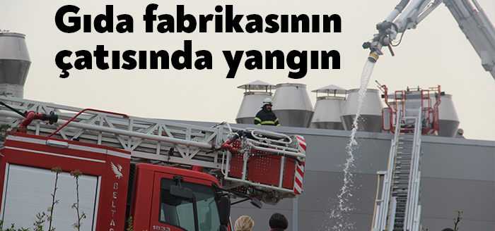  Kocaeli’nin Çayırova ilçesinde bulunan gıda fabrikasının çatısında çıkan yangın paniğe