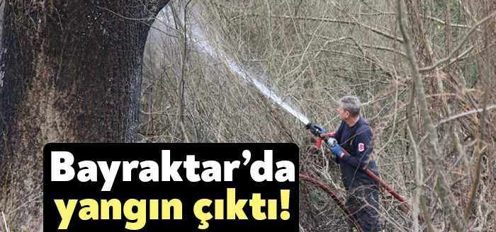 Kocaeli'nin İzmit ilçesinde ormanlık alanda çıkan ve kısa sürede büyüyen