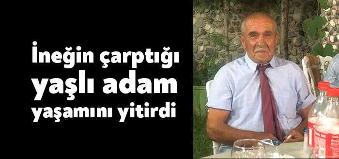 Kartepe Uzunbey Mahallesinde komşularından birine ait olduğunu düşündüğü başıboş bir