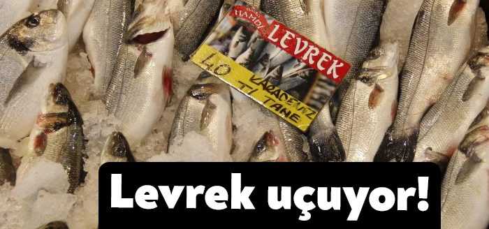Kocaeli’de avlanma yasağının yaklaşmasına rağmen balık fiyatları geçtiğimiz aylardaki seviyelerini