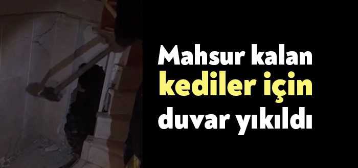 Kocaeli'de apartman boşluğuna sıkışan yavru kediler, itfaiye ekipleri tarafından duvar