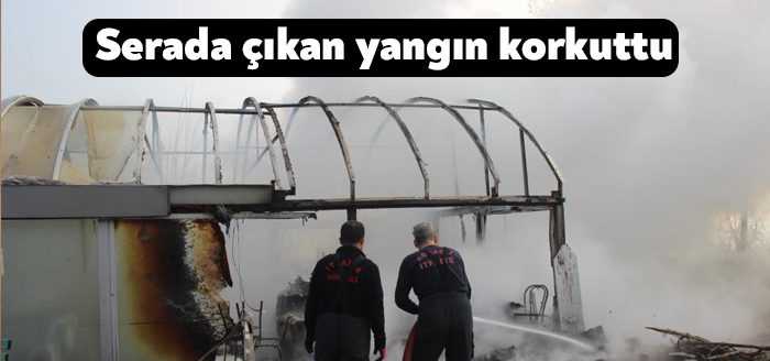Kocaeli'nin Kartepe ilçesindeki serada çıkan yangın korku dolu anlara sebep