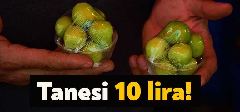 Kocaeli’de sıcaklıkların artmasıyla beraber vatandaşların yaz meyvesi arayışı da başladı.