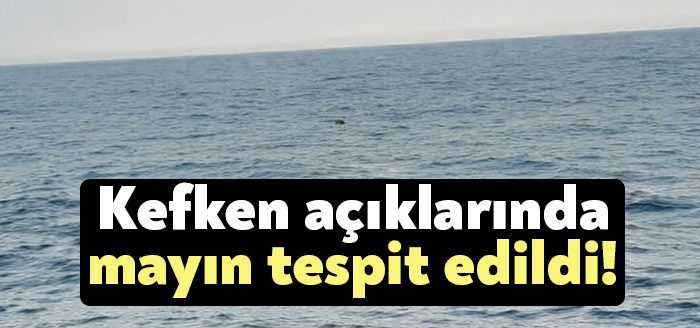 Milli Savunma Bakanlığı'ndan (MSB) yapılan açıklamada, Kocaeli'nin Kefken açıklarında görülen