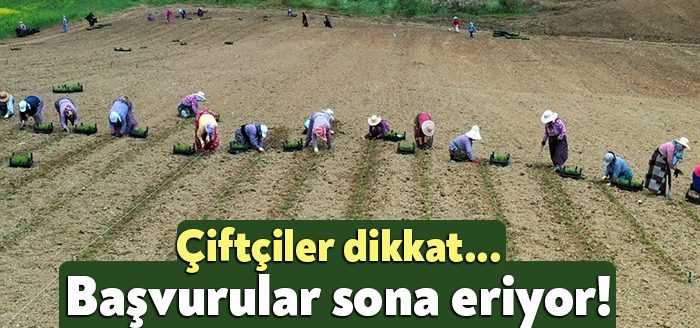 Büyükşehir’in, tarım ve hayvancılık faaliyetinde bulunan kooperatif ve birliklere sağlayacağı yüzde