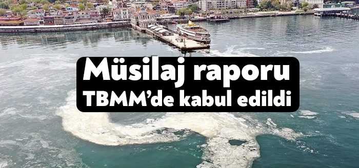 TBMM Genel Kurulu'nda, ilgili Meclis araştırma komisyonunca hazırlanan müsilaj raporu