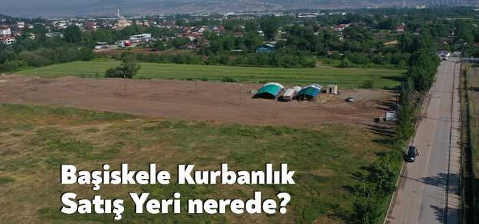 Başiskele Belediyesi, Kurban Bayramı öncesinde küçükbaş ve büyükbaş hayvan satışı