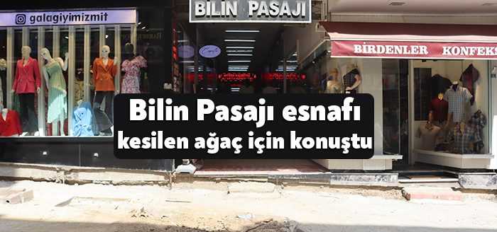 İzmit Belediyesi, kent merkezindeki Bilin Pasajı önünde kökleri zarar gördüğü