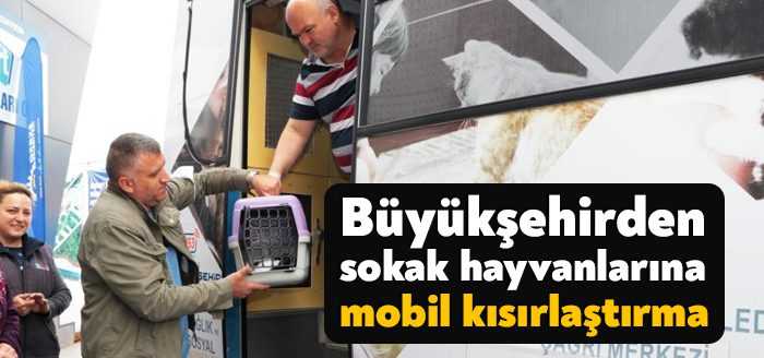 Kocaeli Büyükşehir Belediyesi Mobil Kısırlaştırma Aracı ile Kocaeli'nin tüm ilçelerini