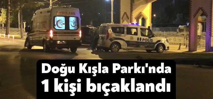 Kocaeli’de kentin göbeğinde yer alan bir parkta çıkan kavgada 1