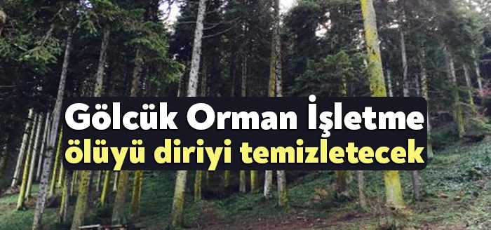 Gölcük Orman İşletme Müdürlüğü, tensil sahalarında ölü ve diri örtü
