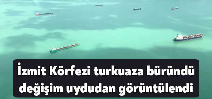 İzmit Körfezi'nde deniz turkuaz renge büründü. TÜBİTAK, denizdeki renk değişimi