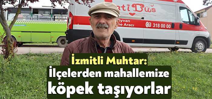 İzmit Tüysüzler Mahallesi Muhtarı Selahattin Harata, mahallede vatandaşların şikayetçi olduğu