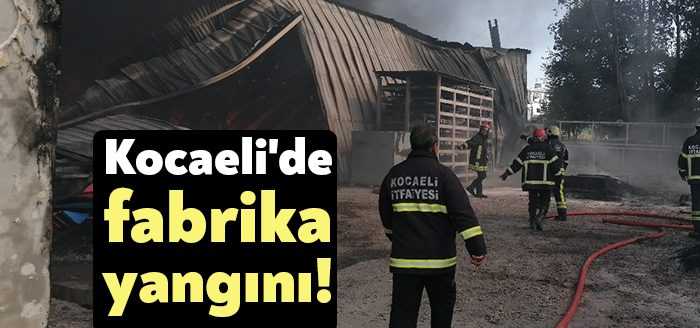 Kocaeli'nin Gebze ilçesinde bir fabrikada yangın çıktı. Ekiplerin yangına müdahalesi