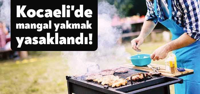 Kocaeli Valiliği orman yangınlarının önüne geçmek adına kent genelinde ormanlık