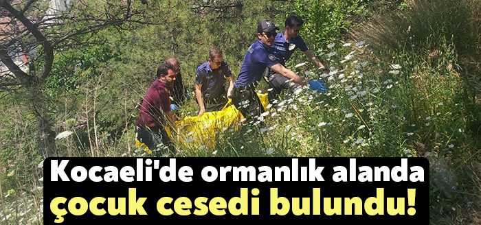 Kocaeli'nin Dilovası ilçesinde iki gündür kayıp olarak aranan 15 yaşındaki