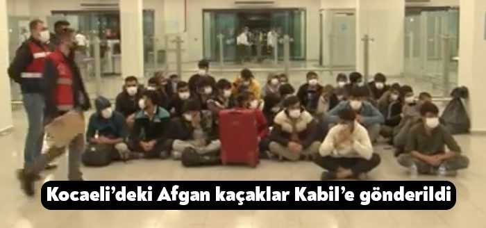 Türkiye'ye yasa dışı yollardan giren, İstanbul ve Kocaeli'de yakalanan 192