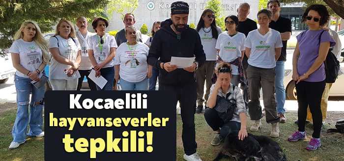 Kocaeli’ de bulunan hayvan sevenler, Kocaeli Valiliği bünyesinde, Kocaeli Üniversitesi