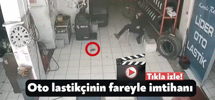 Kocaeli'de oto lastikçiye giren fare ile işçinin ilginç anları iş