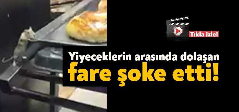 TEM Otoyolu İzmit geçişinde bulunan bir dinlenme tesisindeki kafede fare