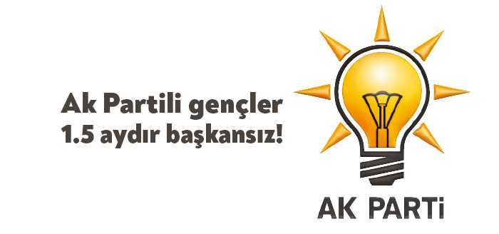 Ak Parti Kocaeli İl Gençlik Kolları Başkanı olarak atanan, 25