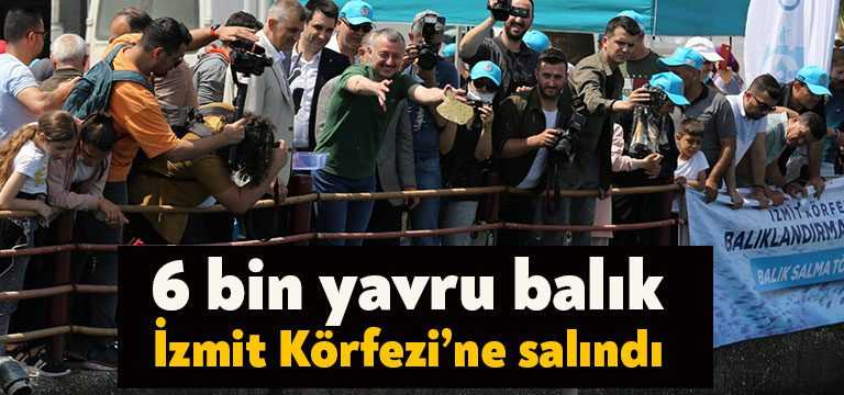 Doğal ortamlarından alınarak anaç balıklardan elde edilen 6 Bin adet