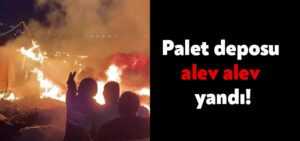 Kocaeli Çayırova ilçesinde palet deposu alev alev yandı
