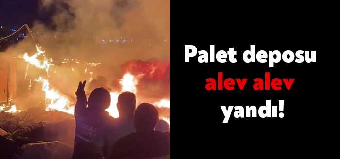Kocaeli’nin Çayırova ilçesinde bir palet deposu alevlere teslim oldu. Yangın,