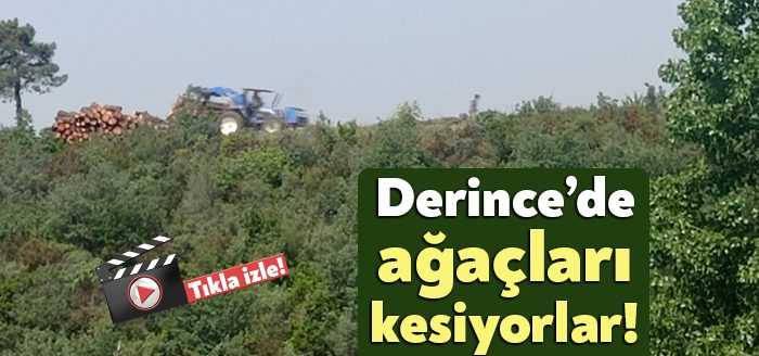 Derince’de 17 Ağustos Şehitler Mezarlığı üzerindeki ormanlık alan, “Dikili satış