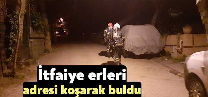 Kocaeli’nin Darıca ilçesinde bir apartmanın çatı katında yangın çıktı. Sokak