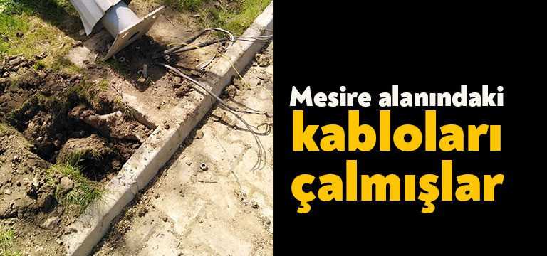Kocaeli’de Tepecik Mesire Alanı’na girerek zarar veren ve kablo hırsızlığı