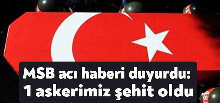 Milli Savunma Bakanlığı (MSB), Irak'ın kuzeyindeki Metina bölgesinde İstihkam Uzman