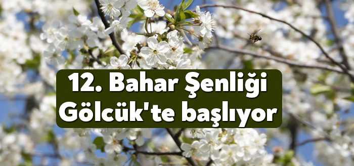 Gölcük Belediyesi, Gölcük Kent Konseyi ve Gölcük Kent Konseyi Kadın