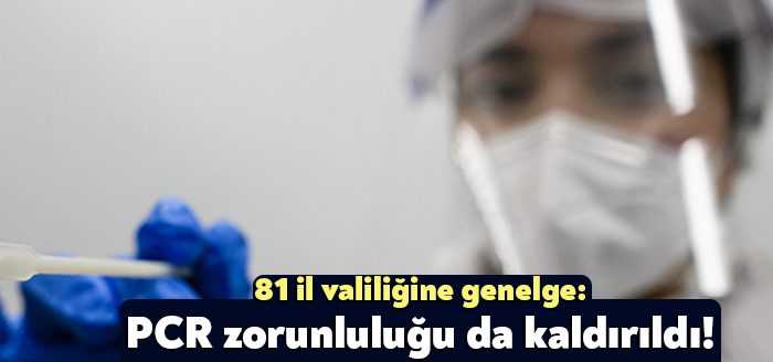 İçişleri Bakanlığınca 81 İl Valiliğine “Ülkeye Giriş Tedbirleri” konulu genelge