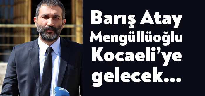 TİP Genel Başkan Yardımcısı Barış Atay Mengüllüoğlu, 14 Haziran Salı