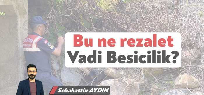 14 Nisan’da da tonlarca hayvan gübresi Beyoğlu Deresi’ne bırakılmış, dereye
