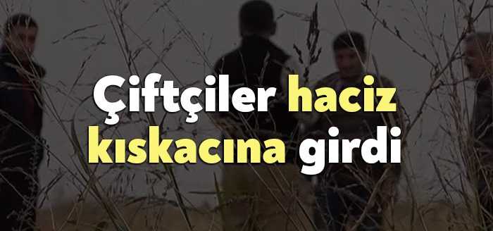 Son 10 yılda hacizli tarla sayısında patlama yaşandı. Çevre ve
