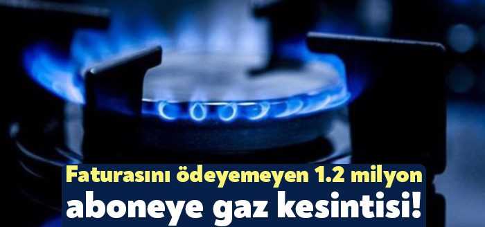 Enerji Piyasası Düzenleme Kurumu’nun (EPDK) resmi verilerine göre 2021 yılında
