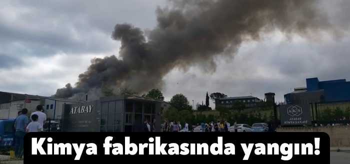 Kocaeli'nin Dilovası ilçesinde bulunan Atabay Kimya ilaç fabrikasında yangın çıktı.