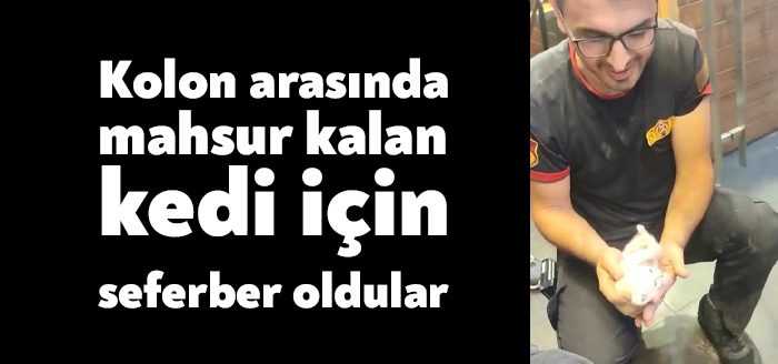 Kocaeli'nin İzmit ilçesinde kolon arasında mahsur kalan yavru kedi, itfaiye