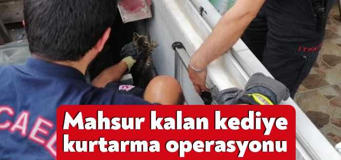 Kocaeli'de iki bina arasında mahsur kalan yavru kediyi itfaiye ekipleri