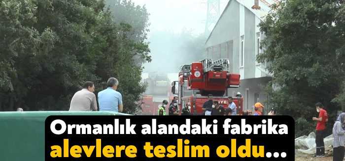 Kocaeli’nin Dilovası ilçesinde ormanlık alana kurulu olan su kaydırağı fabrikası