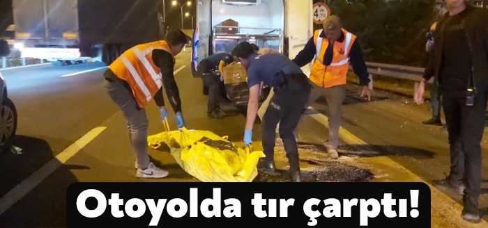 Kocaeli’nin Dilovası ilçesi TEM Otoyolu’nda yolun karşısına geçmeye çalışan adama